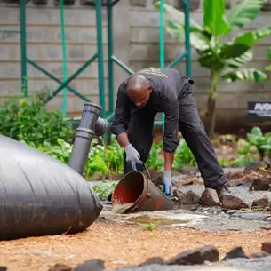 The Untapped Carbon Goldmine: Why Biogas Fertilizer Deserves More Credit