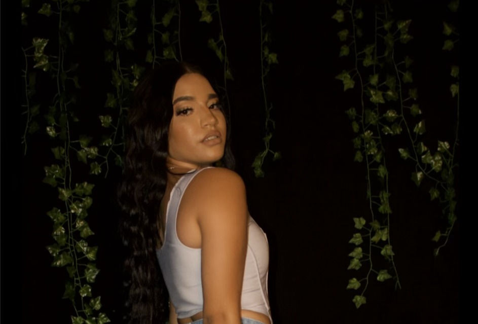Thumbnail: Gray Mesh Corset