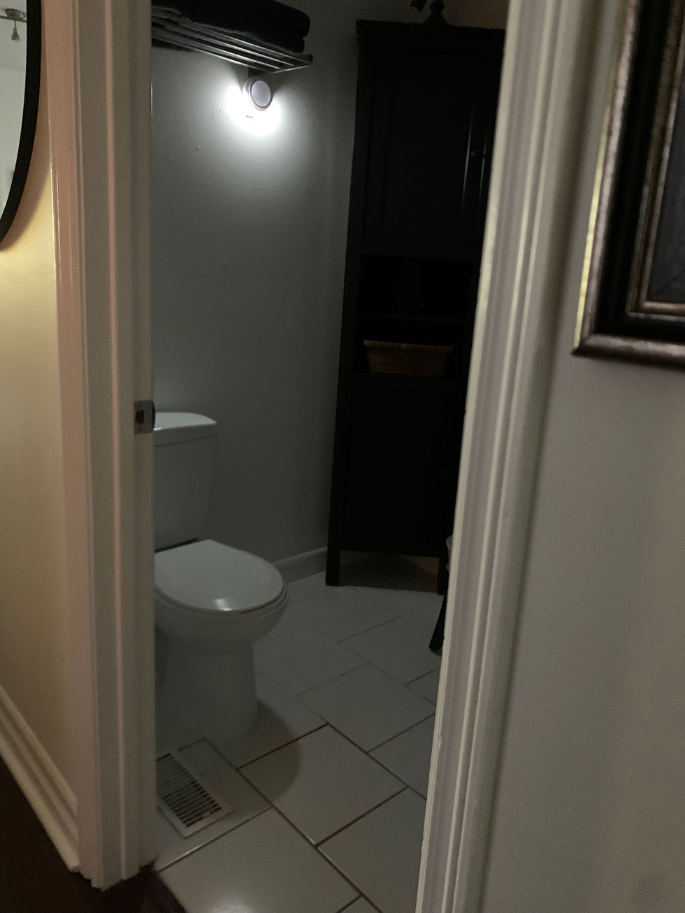 Nightlight Grab bar Full Bathroom