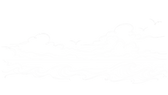 waves.png