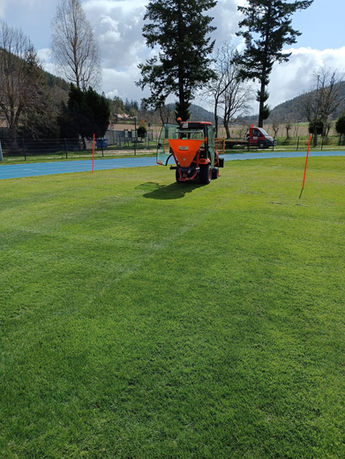 Zdjęcie WhatsApp 2023-06-01 o 07.50.323.jpg