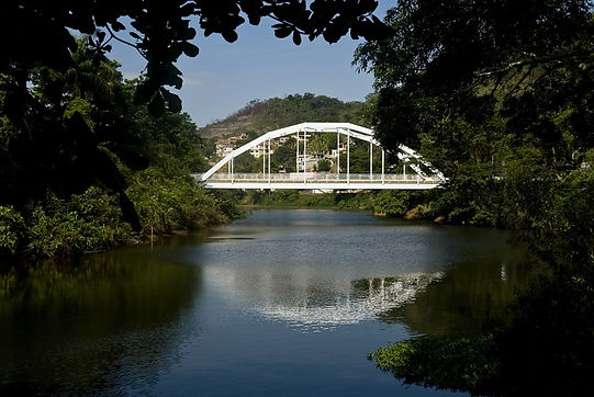 pirai_rio_pirai__ika4974_1391780022.jpg