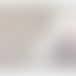 Os mapas do Brasil desenhados pelos padres matemáticos do séc. XVIII