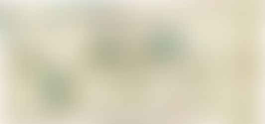 Chart of the week | The Cantino planisphere, anonymous Portuguese, 1502