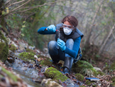 CONSERVATION SCIENTIST