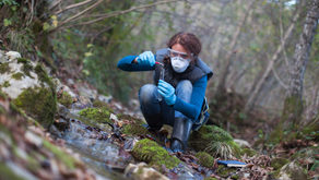 CONSERVATION SCIENTIST