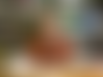 CAREER AS A LIBRARIAN