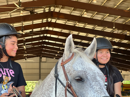Memnosyne's Heartwarming Day at the Horse Park: Empowering Indigenous Youth
