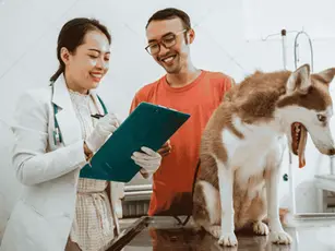 Different Types of Pet Insurance in UAE: A Complete Guide