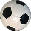 download (1).jpeg