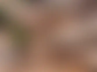 Observações cruciais sobre a tragédia de Brumadinho e outras tragédias