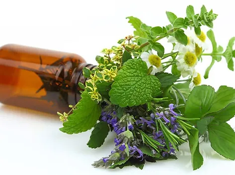 Aromatherapy.webp