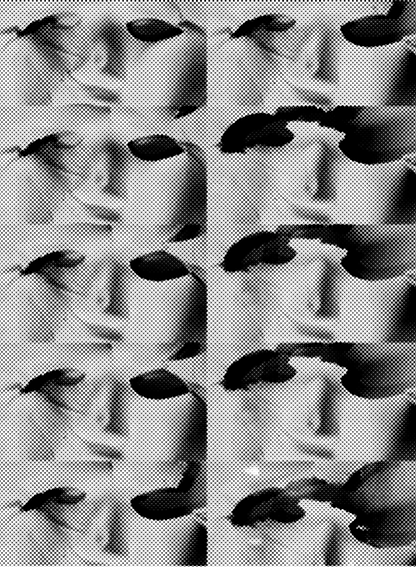 asgrfdjnvazdrsjfdnvc.png
