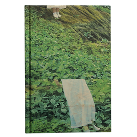 45erfdscx-Photoroom.png