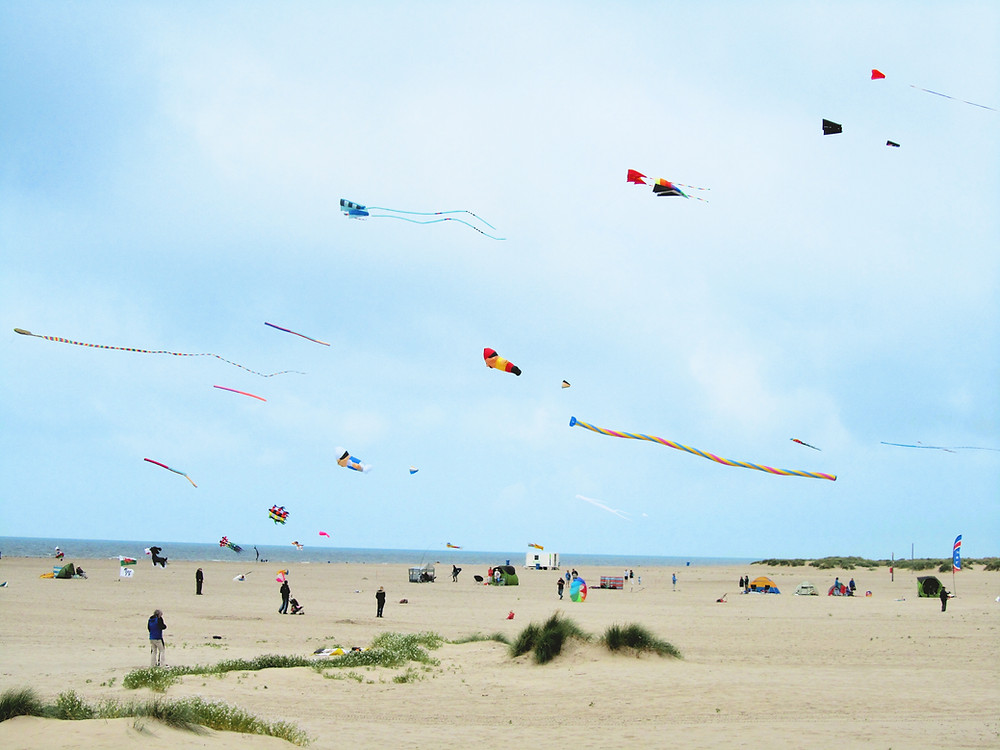 Kites on a beach