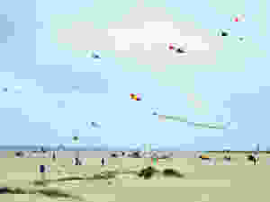 Kites on a beach