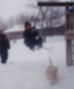 Again, the same storm on another day. Proof that there were things for them to do! And yes, I even made the dog go out and play.