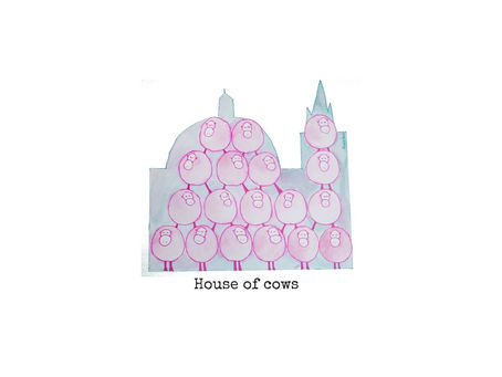 House of cows - why?