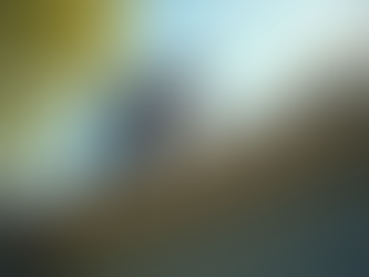 Chapel Hill Home Inspections: What You Need to Know Before Buying or Selling