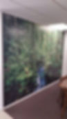 Wall Wraps