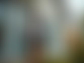 Trusted Certified Raleigh Home Inspectors: Your Guide to Confident Home Decisions