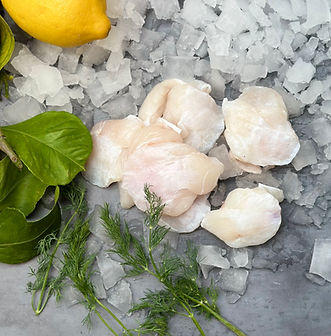 Fresh and smoked fish | Furness fish market