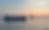 LIVE Music Sunset Cruise