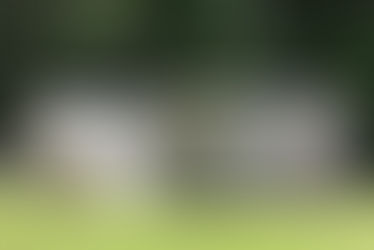 Kingsley Plantation - North Florida