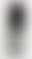 zenz micellar foam winner in global green beauty awards 2025