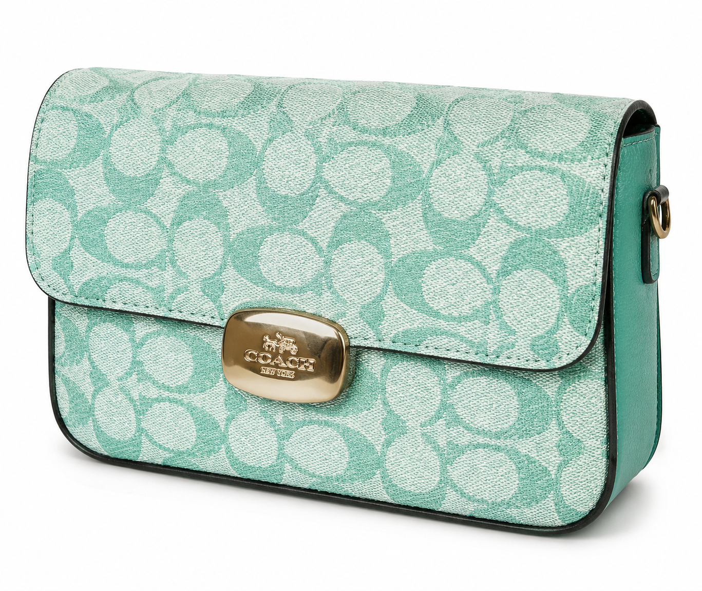 Bolsa Coach Si