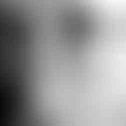 Mariée qui enfile son voile 