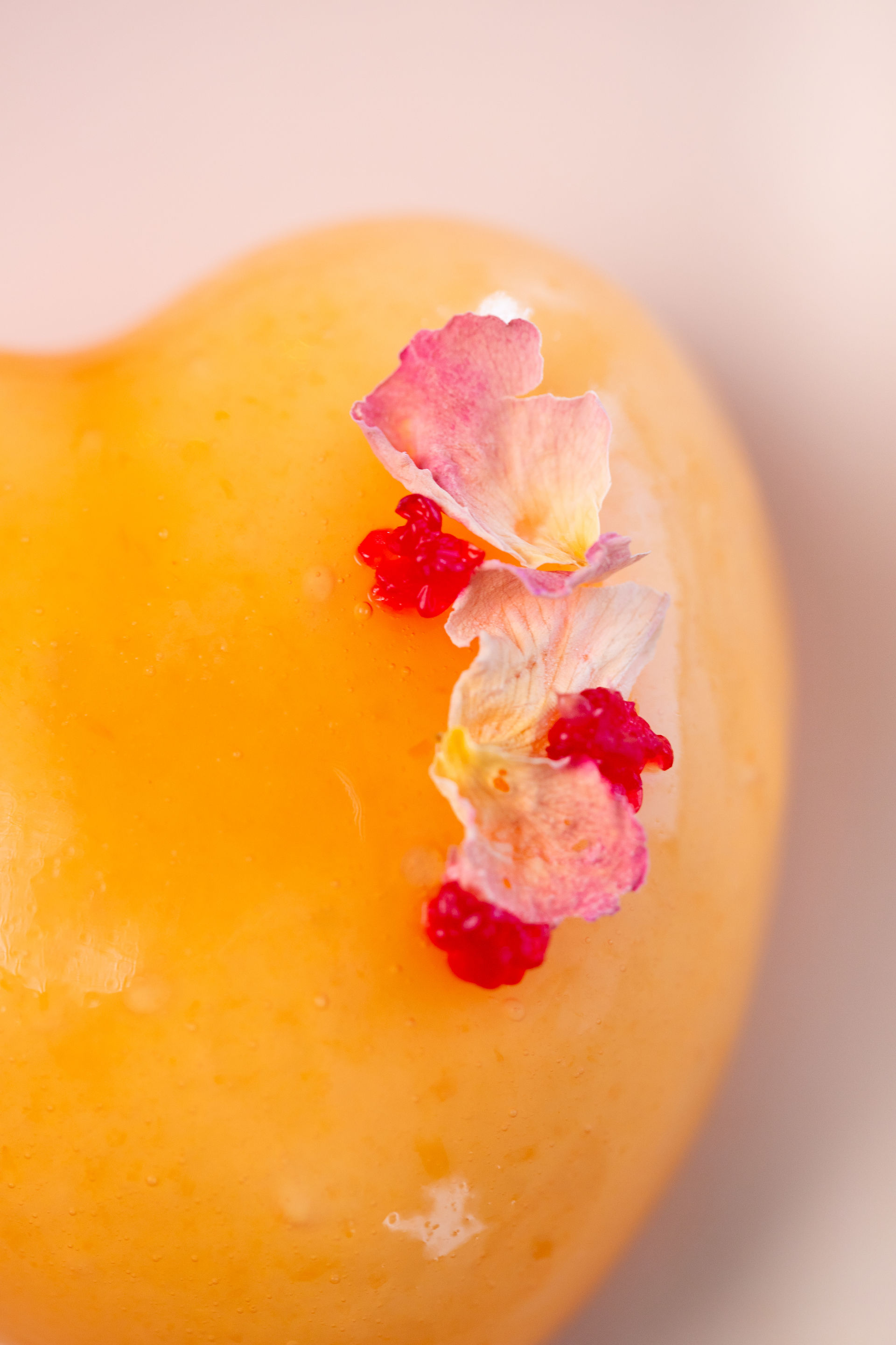 Focus sur pétales de rose, gâteau Saint Valentin