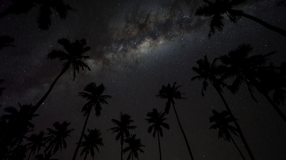 gorgeous-milky-way-time-lapse-above-palm-trees-silhouetted-against-night-sky-isle-of-p-SBI