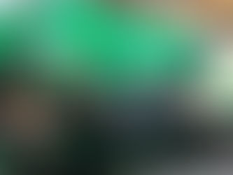 EmNEW at Future Energy Nigeria 2019