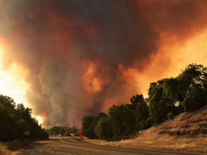 Politikerne er handlingslammet. Kan fondskapital redde kloden?