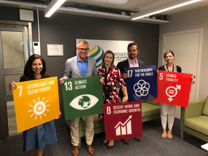 Mer ren energi i Afrika