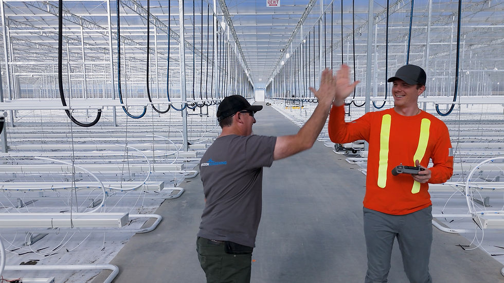 men high fiving in a greenhouse