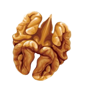 ec1bef7fa4d1cdd9386d5c6a08c0a590_edited_edited.png