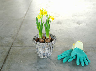 What We're Following Today August 12, 2019