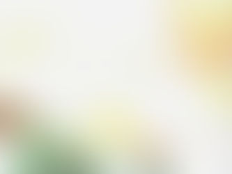 Holly, modelo de webcam