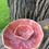 Thumbnail: Watermelon Chips and Dip set