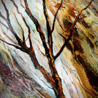 Arbutus and Falls