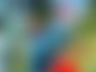 Super Lions Roar Back with Dominant All-Round Display, Crush ZCCC-2 by 7 Wickets in Embrach