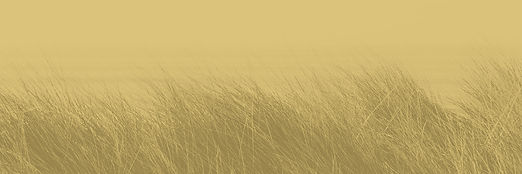 footer-back-amber.jpg