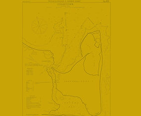 Chappy-top-ochre.jpg