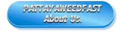 Icon About Us