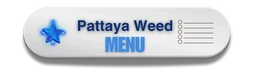 Icon Pattaya Weed Menu