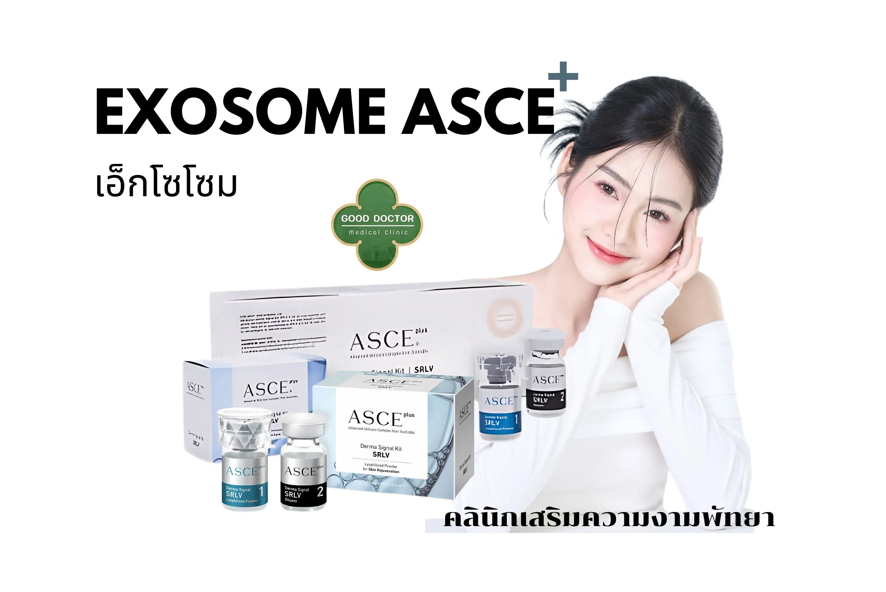 เอ็กโซโซม พัทยา