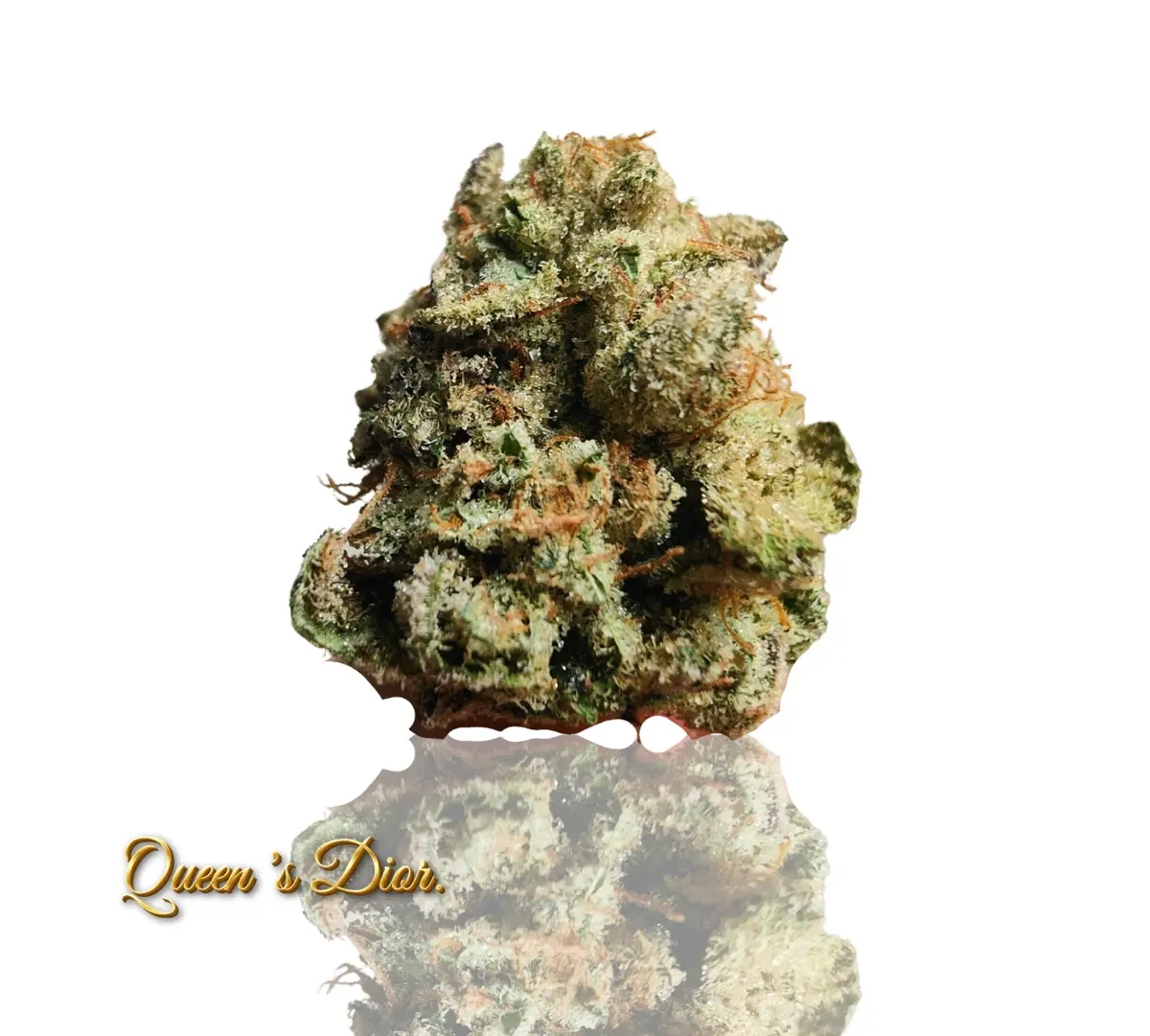 Queen 's Dior 
