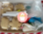 Large Christmas Cookie Decorating Kit